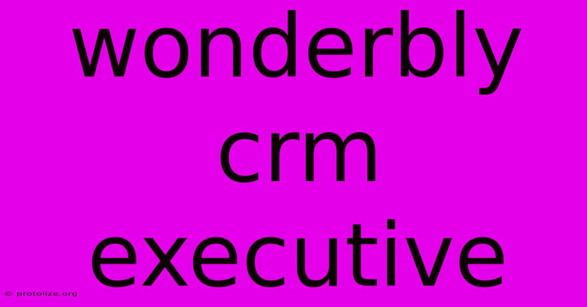 Wonderbly Crm Executive