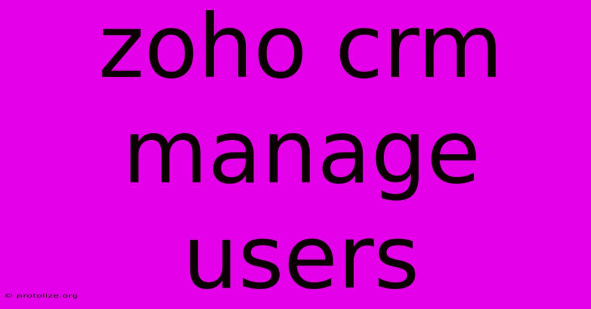 Zoho Crm Manage Users